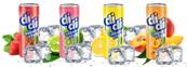 THE GLACE A LA BERGAMOTE 250ML/CAN/DIDI/IM