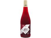 JUS DE NAVET 1LT B. USTA BOUT *12