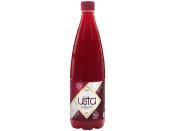 JUS DE NAVET PIQUANT 1LT B. USTA *12