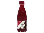 JUS DE NAVET PIQUANT 33CL B. USTA *24