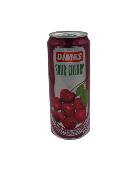 JUS DE GRIOTTE 33CL DIMES *24  